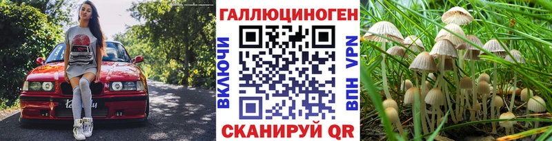 Галлюциногенные грибы Cubensis Калязин